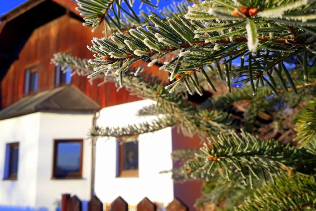 "Stone'S Throw" Krumlov 5 Min By Car, Lipno 15 Min By Car, 2 Bdrooms,Playroom Kájov エクステリア 写真